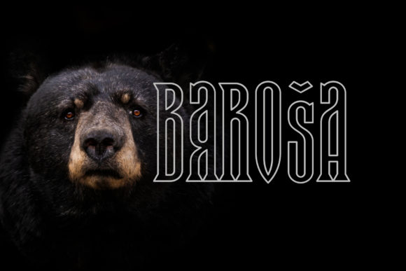 Baroša: A Display Font That Makes Your Headline Land—Every Time
