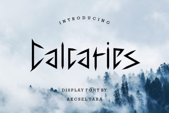 Calcaries: A Display Font That Makes Handmade Details Shine